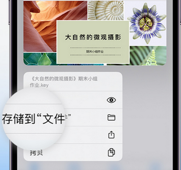 鞍山apple维修中心分享iPhone文件应用中存储和找到下载文件