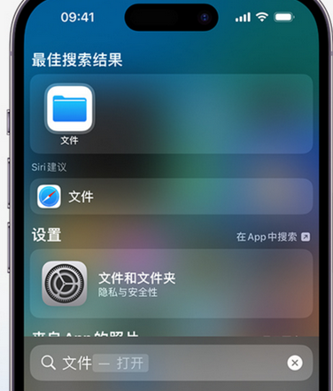 鞍山apple维修中心分享iPhone文件应用中存储和找到下载文件 