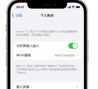 鞍山apple服务站点分享iPhone上个人热点丢失了怎么办 