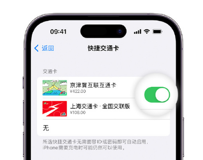 鞍山apple维修点分享iPhone上更换Apple Pay快捷交通卡手绘卡面 