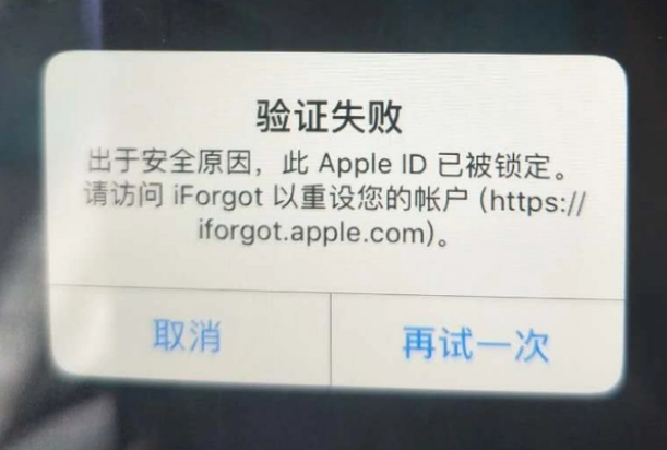 鞍山iPhone维修分享iPhone上正常登录或使用AppleID怎么办 