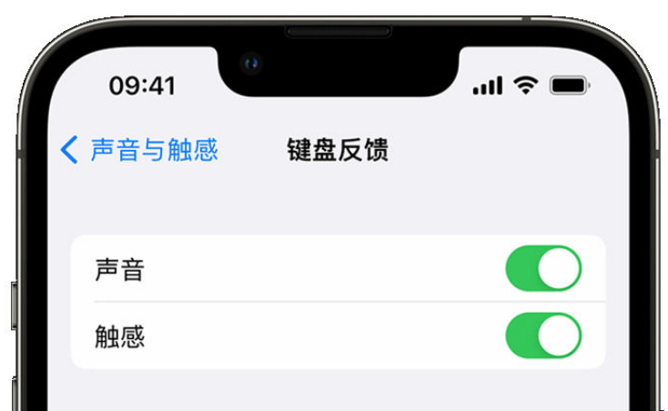 鞍山苹果手机维修分享iPhone 14触感键盘使用方法 