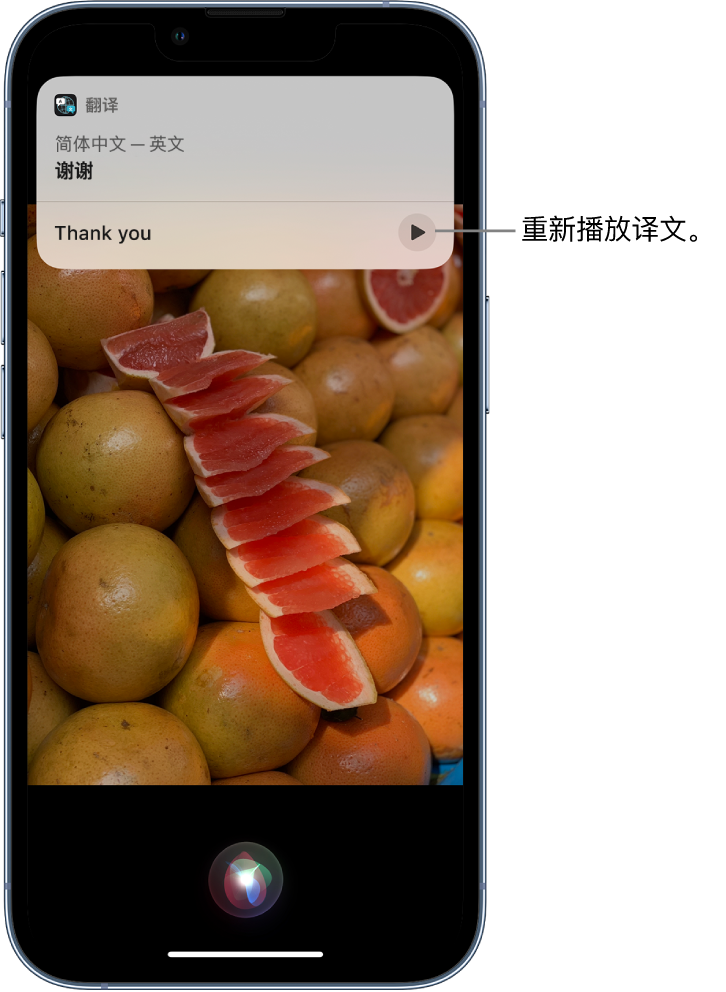 鞍山苹果14维修分享 iPhone 14 机型中使用 Siri：了解 Siri 能帮你做什么 