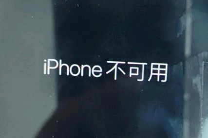 鞍山苹果服务网点分享锁屏界面显示“iPhone 不可用”如何解决 