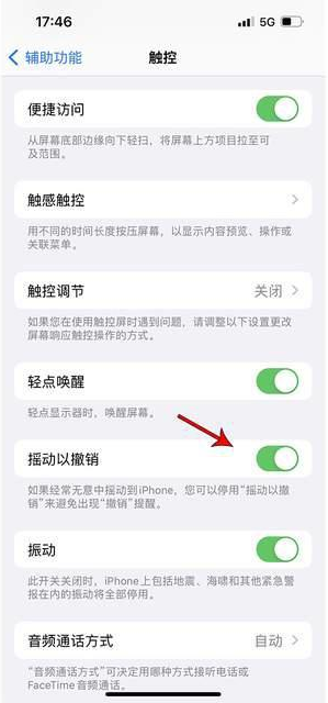 鞍山苹果手机维修分享iPhone手机如何设置摇一摇删除文字 