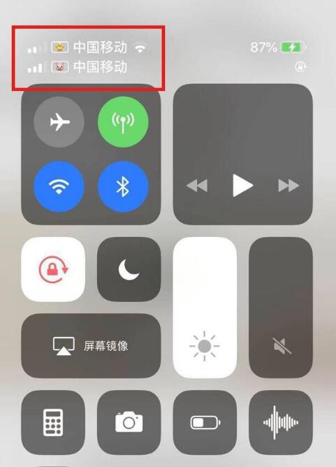 鞍山苹果手机维修分享为 iPhone 12 双卡设置标签 