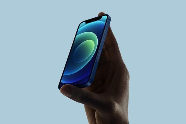 鞍山苹果手机维修分享iPhone 12 mini辐射很大吗 