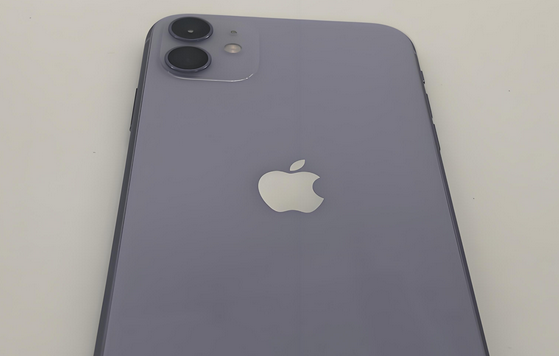 鞍山苹果11系统维修分享iPhone11手机系统崩溃无法开机如何解决 