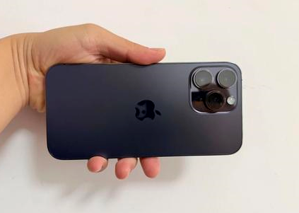 鞍山苹果维修点分享iPhone 14 Pro Max黑屏少见故障盘点 